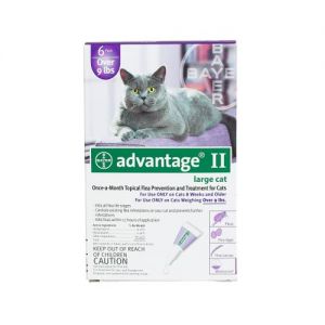 Flea Control for Cats and Kittens Over 9 lbs 6 Month Supply